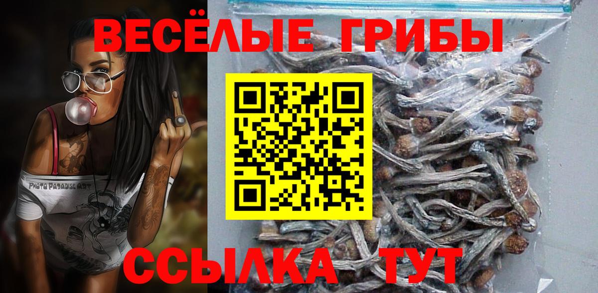 Псилоцибиновые грибы Psilocybine cubensis  Галлюциногенные грибы прущие грибы  Борисоглебск  Вход с VPN 