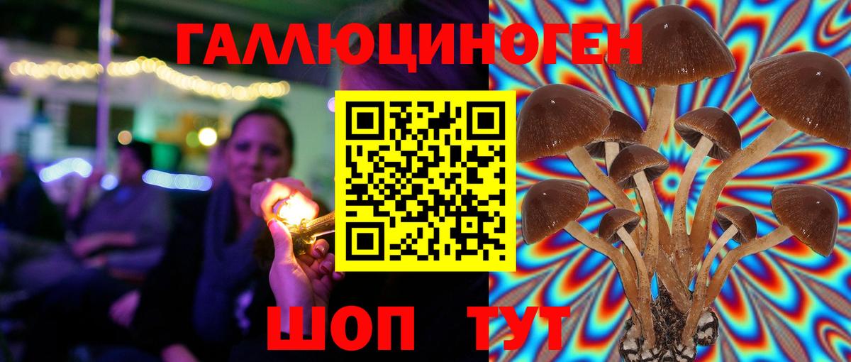 Псилоцибиновые грибы прущие грибы Борисоглебск